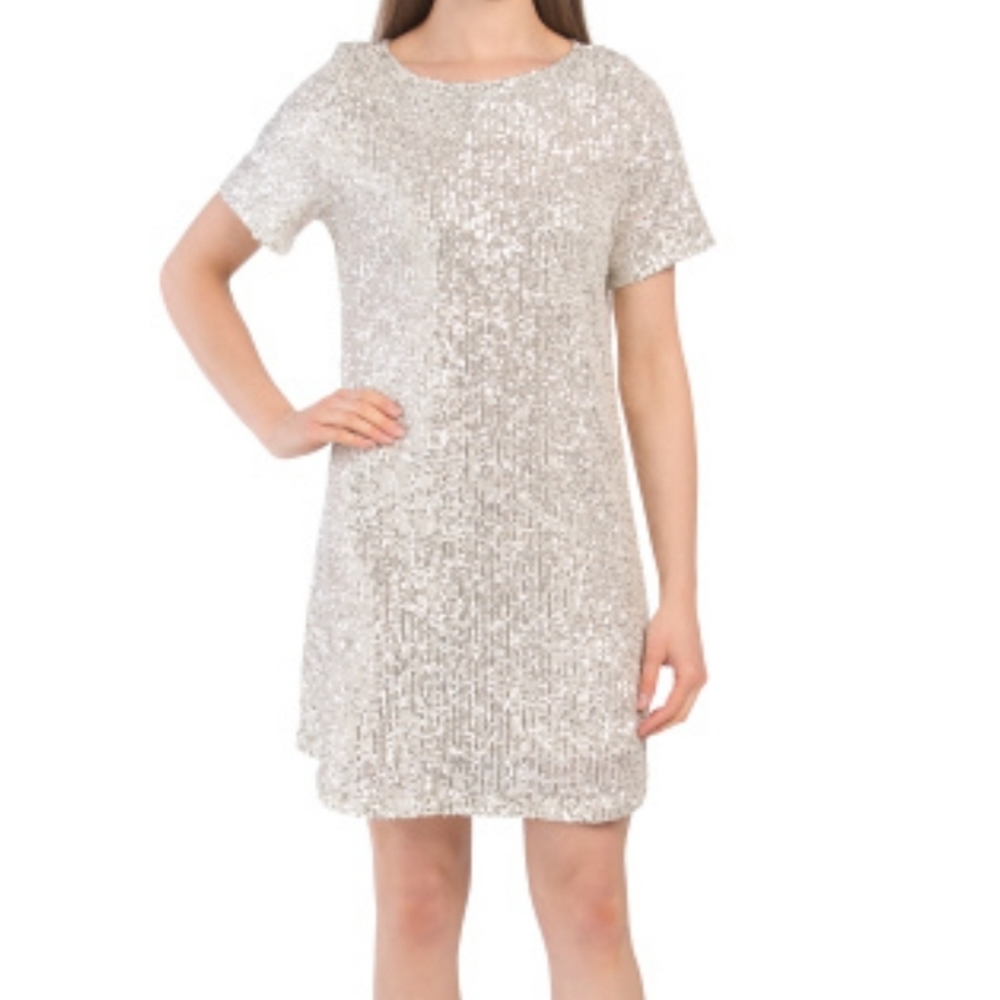 Silver Sequin Dress